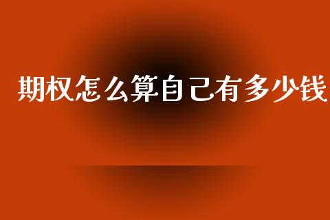 期权怎么算自己有多少钱_https://cj002.lansai.wang_保险问答_第1张