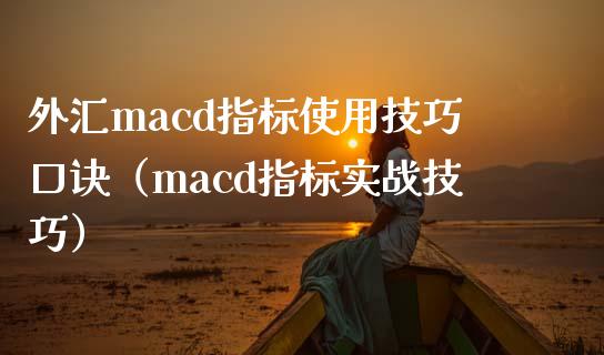 外汇macd指标使用技巧口诀（macd指标实战技巧）_https://cj002.lansai.wang_金融问答_第1张