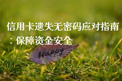 信用卡遗失无密码应对指南：保障资金安全_https://cj002.lansai.wang_理财问答_第1张