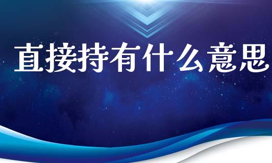 直接持有什么意思_https://cj002.lansai.wang_会计问答_第1张