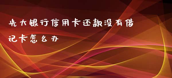 光大银行信用卡还款没有借记卡怎么办_https://cj002.lansai.wang_金融问答_第1张