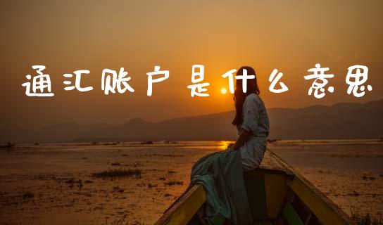 通汇账户是什么意思_https://cj002.lansai.wang_财经问答_第1张