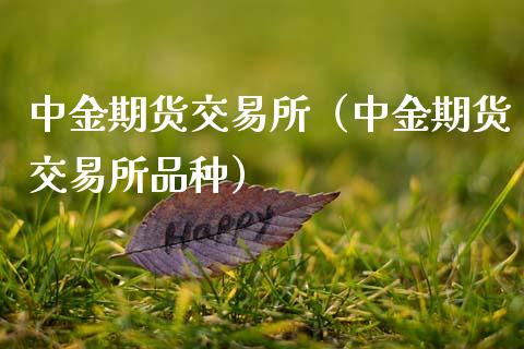 中金期货交易所（中金期货交易所品种）_https://cj002.lansai.wang_会计问答_第1张