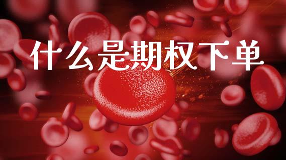 什么是期权下单_https://cj002.lansai.wang_财经百问_第1张