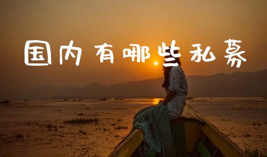 国内有哪些私募_https://cj002.lansai.wang_理财问答_第1张