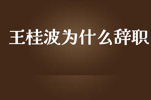 王桂波为什么辞职_https://cj002.lansai.wang_理财问答_第1张