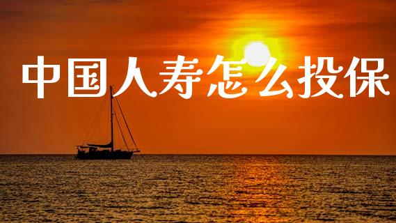 中国人寿怎么投保_https://cj002.lansai.wang_保险问答_第1张