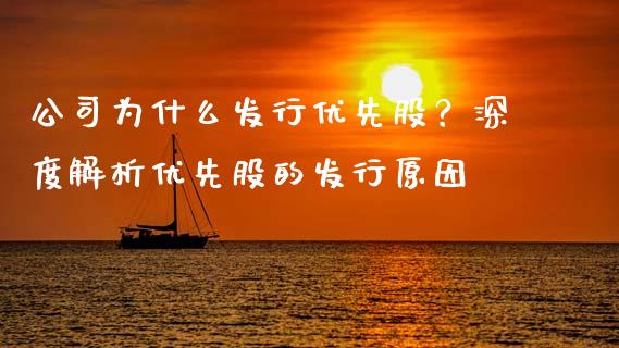 公司为什么发行优先股？深度解析优先股的发行原因_https://cj002.lansai.wang_理财问答_第1张
