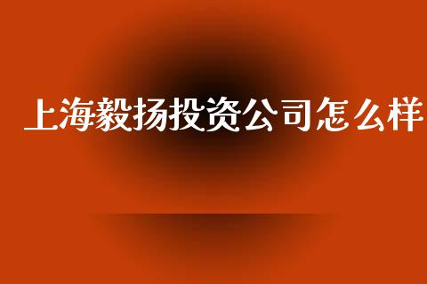 上海毅扬投资公司怎么样_https://cj002.lansai.wang_理财问答_第1张