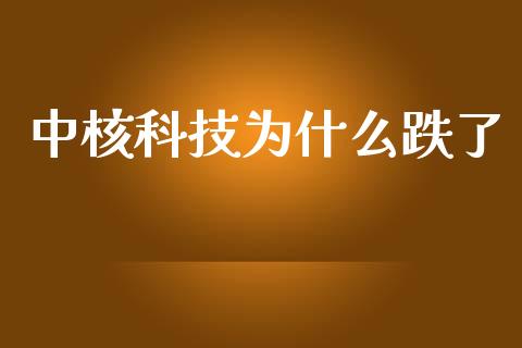 中核科技为什么跌了_https://cj002.lansai.wang_财经百问_第1张