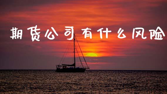 期货公司有什么风险_https://cj002.lansai.wang_保险问答_第1张