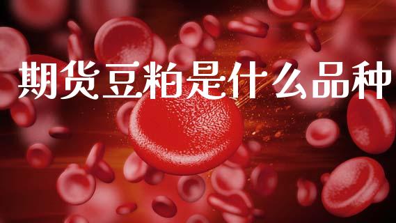 期货豆粕是什么品种_https://cj002.lansai.wang_期货问答_第1张
