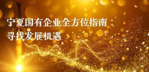 宁夏国有企业全方位指南：寻找发展机遇_https://cj002.lansai.wang_股市问答_第1张