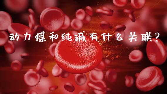 动力煤和纯碱有什么关联？_https://cj002.lansai.wang_期货问答_第1张