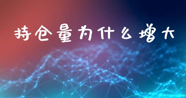 持仓量为什么增大_https://cj002.lansai.wang_期货问答_第1张