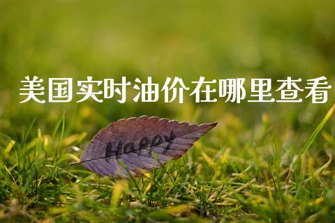 美国实时油价在哪里查看_https://cj002.lansai.wang_理财问答_第1张