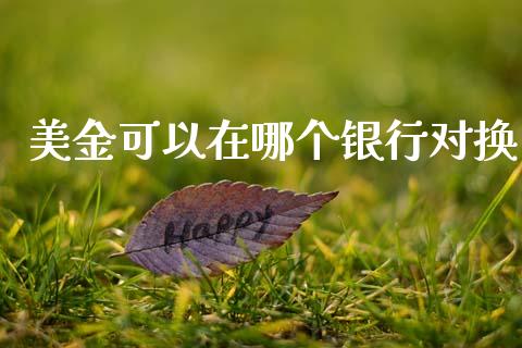 美金可以在哪个银行对换_https://cj002.lansai.wang_理财问答_第1张