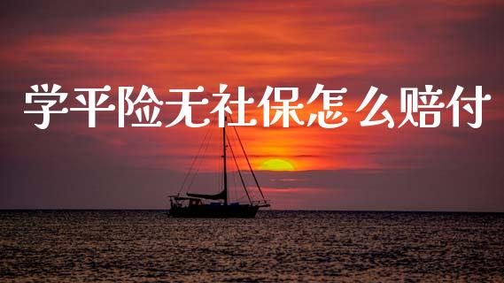 学平险无社保怎么赔付_https://cj002.lansai.wang_保险问答_第1张
