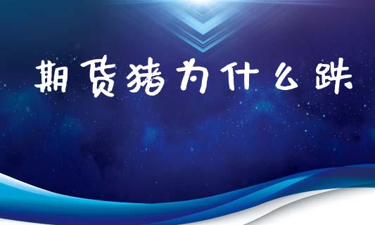 期货猪为什么跌_https://cj002.lansai.wang_理财问答_第1张