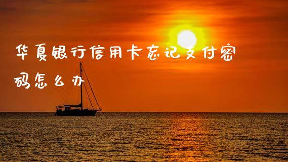 华夏银行信用卡忘记支付密码怎么办_https://cj002.lansai.wang_金融问答_第1张