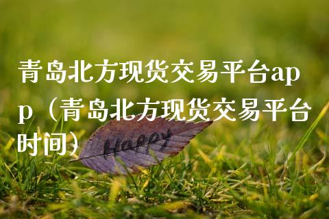 青岛北方现货交易平台app（青岛北方现货交易平台时间）_https://cj002.lansai.wang_财经问答_第1张