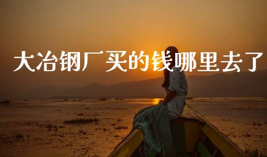 大冶钢厂买的钱哪里去了_https://cj002.lansai.wang_财经百问_第1张