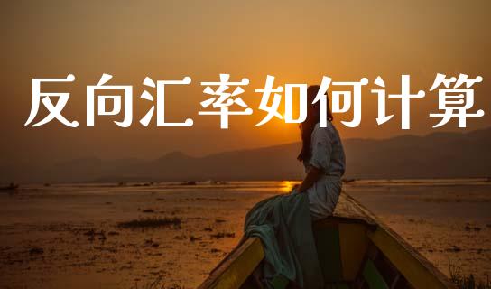 反向汇率如何计算_https://cj002.lansai.wang_财经问答_第1张