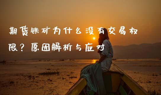 期货铁矿为什么没有交易权限？原因解析与应对_https://cj002.lansai.wang_财经问答_第1张