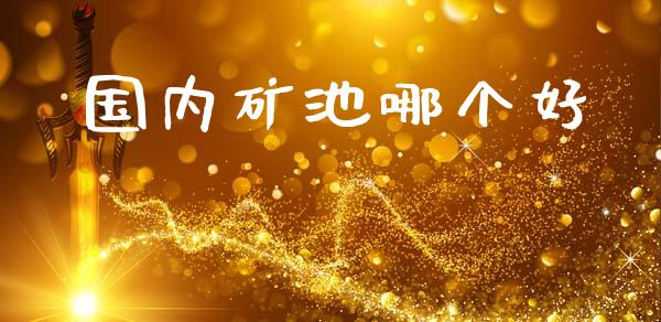国内矿池哪个好_https://cj002.lansai.wang_股市问答_第1张