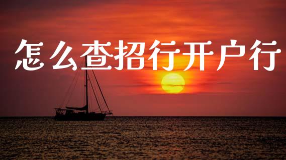 怎么查招行开户行_https://cj002.lansai.wang_金融问答_第1张