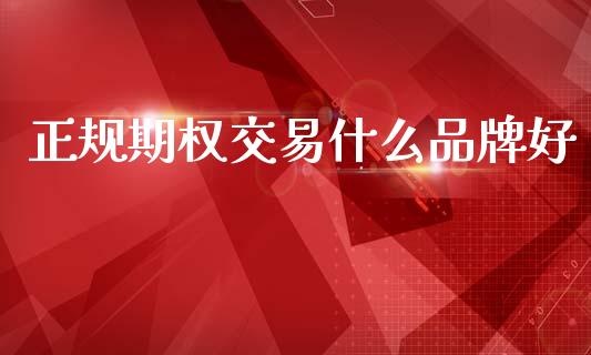 正规期权交易什么品牌好_https://cj002.lansai.wang_理财问答_第1张