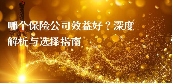 哪个保险公司效益好？深度解析与选择指南_https://cj002.lansai.wang_财经问答_第1张