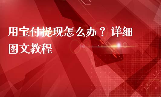 用宝付提现怎么办？ 详细图文教程_https://cj002.lansai.wang_金融问答_第1张