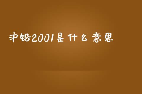 沪铅2001是什么意思_https://cj002.lansai.wang_保险问答_第1张