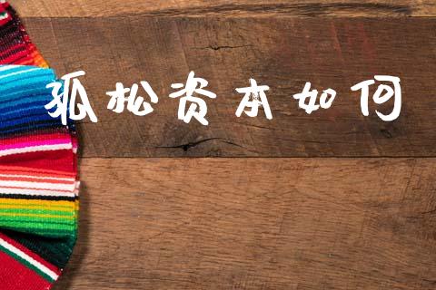 孤松资本如何_https://cj002.lansai.wang_期货问答_第1张