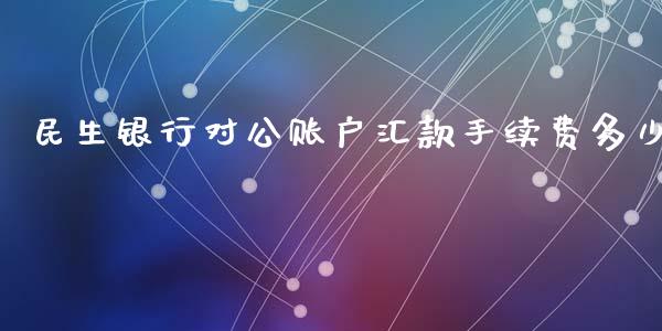 民生银行对公账户汇款手续费多少_https://cj002.lansai.wang_理财问答_第1张