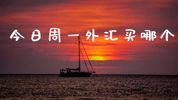 今日周一外汇买哪个_https://cj002.lansai.wang_财经问答_第1张