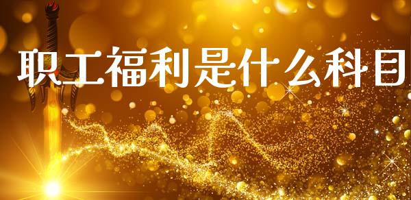 职工福利是什么科目_https://cj002.lansai.wang_会计问答_第1张