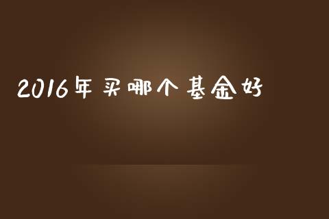 2016年买哪个基金好_https://cj002.lansai.wang_期货问答_第1张