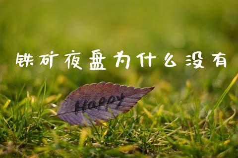 铁矿夜盘为什么没有_https://cj002.lansai.wang_理财问答_第1张