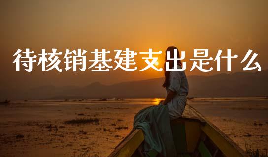 待核销基建支出是什么_https://cj002.lansai.wang_会计问答_第1张