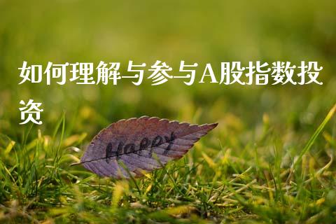 如何理解与参与A股指数投资_https://cj002.lansai.wang_期货问答_第1张