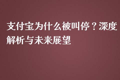 支付宝为什么被叫停？深度解析与未来展望_https://cj002.lansai.wang_会计问答_第1张