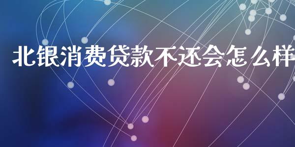 北银消费贷款不还会怎么样_https://cj002.lansai.wang_理财问答_第1张