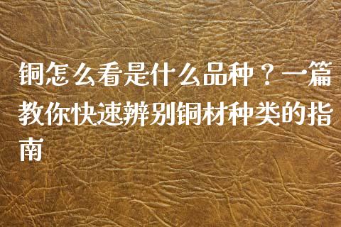 铜怎么看是什么品种？一篇教你快速辨别铜材种类的指南_https://cj002.lansai.wang_金融问答_第1张