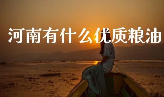 河南有什么优质粮油_https://cj002.lansai.wang_期货问答_第1张