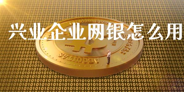 兴业企业网银怎么用_https://cj002.lansai.wang_金融问答_第1张