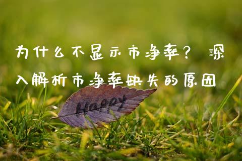 为什么不显示市净率？ 深入解析市净率缺失的原因_https://cj002.lansai.wang_理财问答_第1张