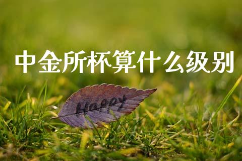 中金所杯算什么级别_https://cj002.lansai.wang_金融问答_第1张