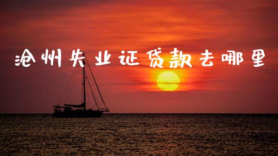 沧州失业证贷款去哪里_https://cj002.lansai.wang_理财问答_第1张